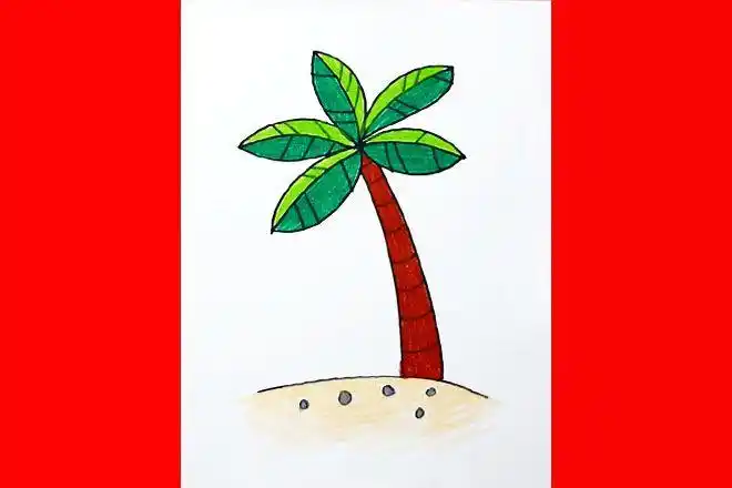 怎么教孩子一步一步简单画棕榈树简笔画(步骤图解)