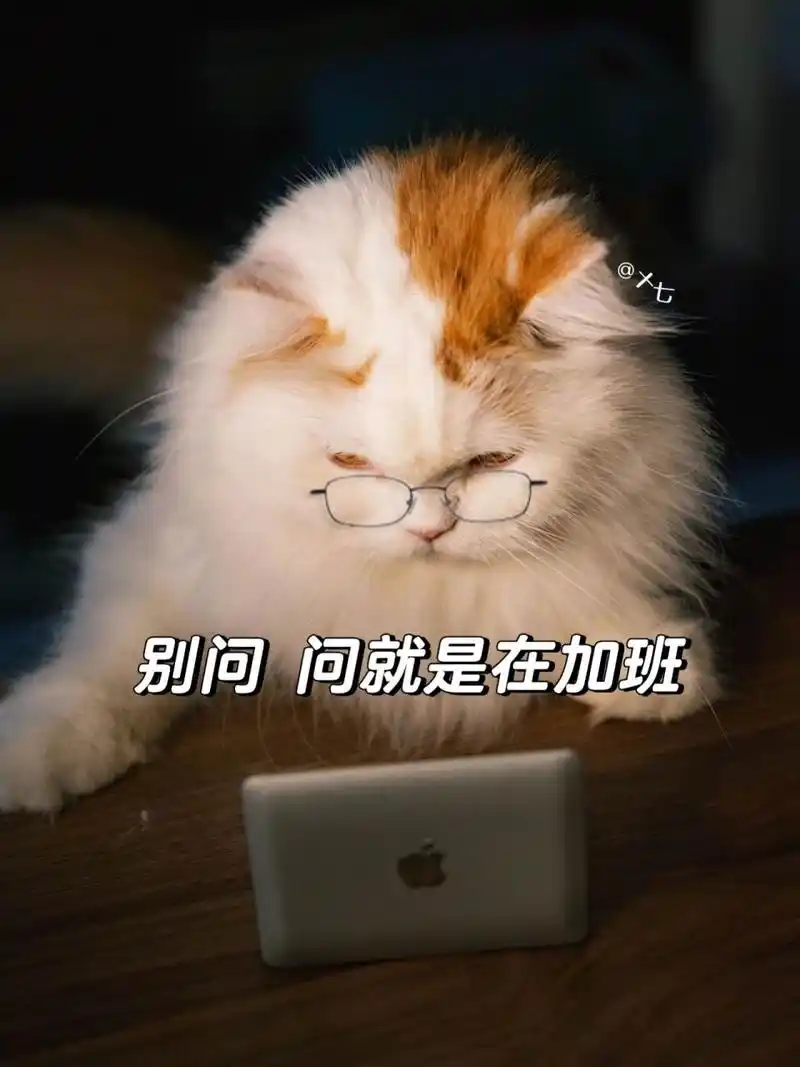 加班表情包 90 打工人的一周从加班开始 周一从加班开始,广告人真的