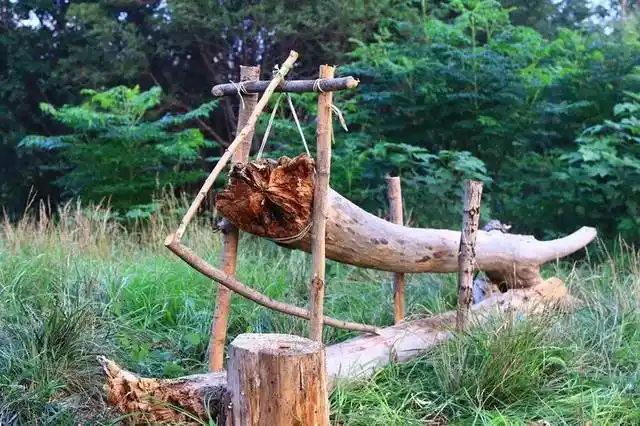 课堂野外生存之捕猎陷阱实战篇