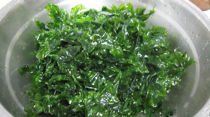 也是沿海地区的特产"海菜"海菜是生长在海里,是一种海藻菌生长的,海菜