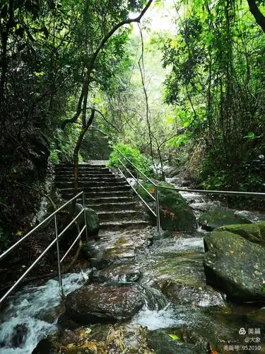 肇庆北岭山森林公园