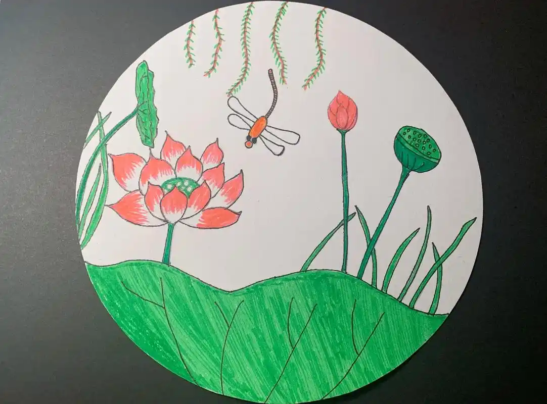 夏日荷花  #诗配画 小池 - 抖音