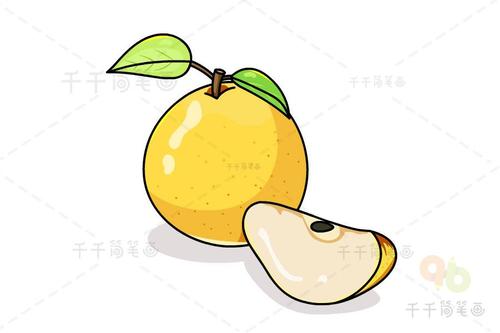 雪梨简笔画图片