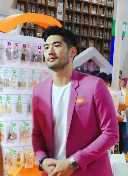 高以翔个人资料 高以翔个人资料女朋友 - 北京百科网