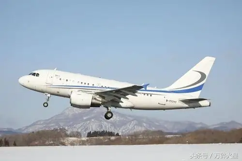 短粗的胖子客机-空客a318 airbus318集锦