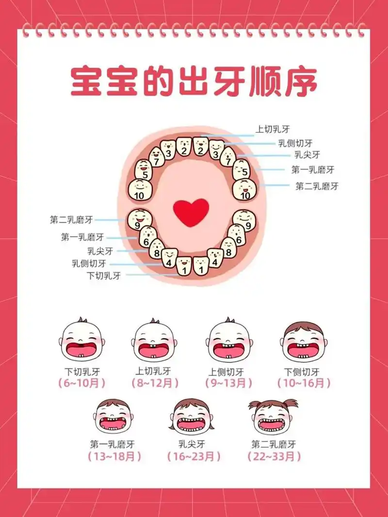 那么宝宝的牙齿萌出顺序又是怎么样的