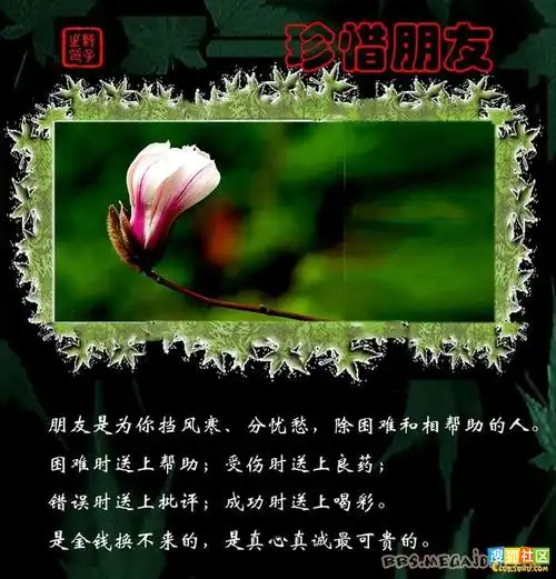 珍惜知己,珍惜友情