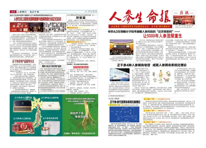 保健食品报纸排版,正度4k4版