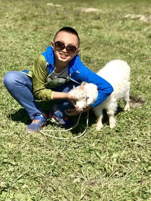 我抱了一只小羊,很可爱,像个撒娇的孩子.