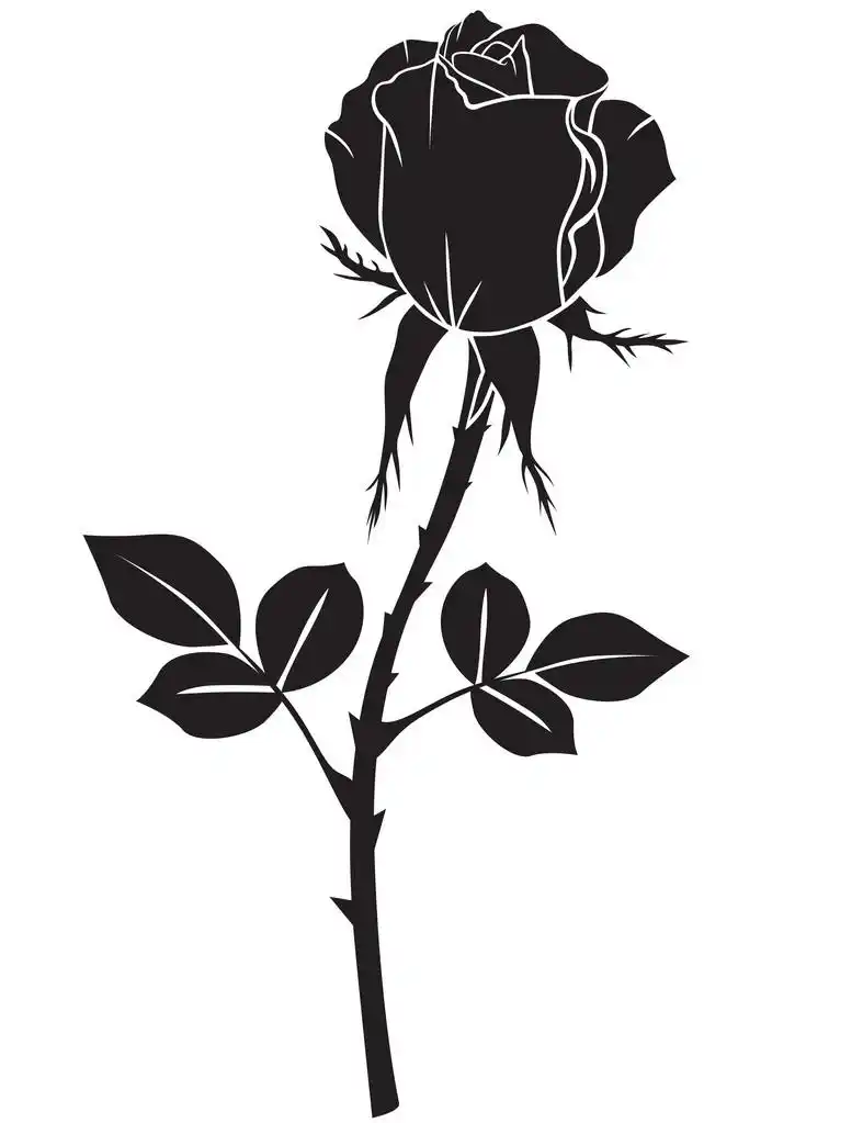 剪影玫瑰,剪影图像芽玫瑰一朵