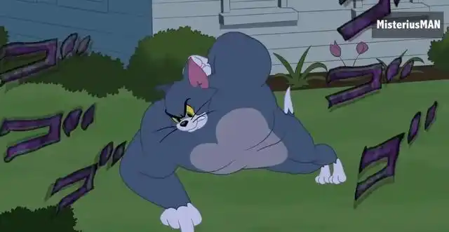 猫和老鼠这集太励志了,汤姆化身dio,努力锻炼终于变强