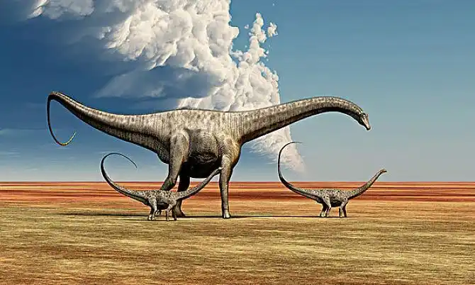 恐龙图片_图片大全