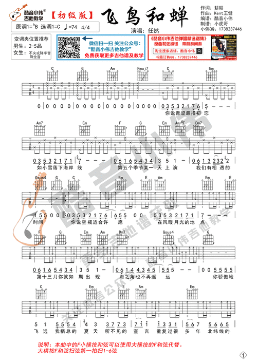 《飞鸟和蝉》吉他谱初级简单版 酷音小伟吉他弹唱教学