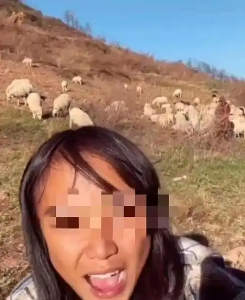 百万粉丝网红凉山孟阳被判刑编造父母双亡卖惨摆拍卖假货