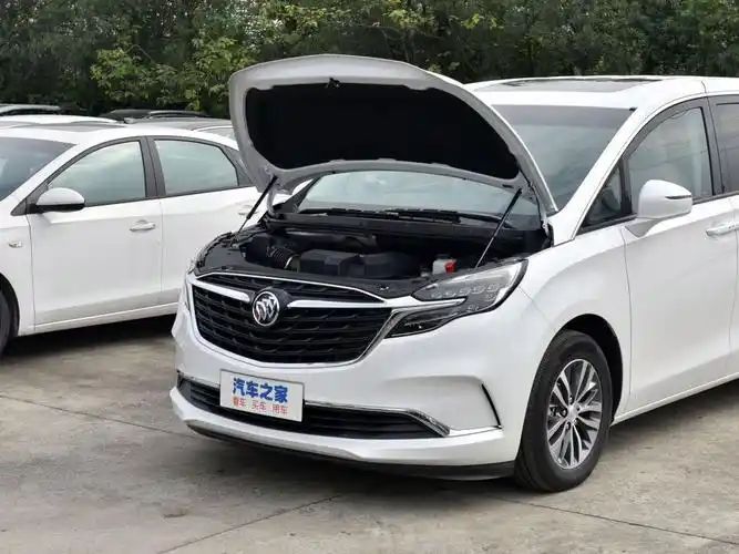 志诚志远别克>上汽通用别克>别克gl8>2022款es陆尊653t舒适型>珍珠白>