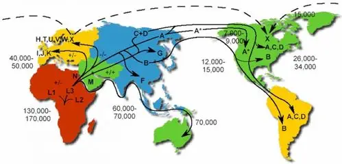 人类线粒体dna迁移图