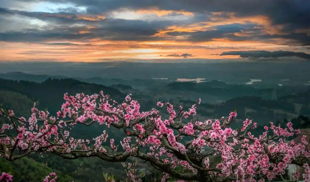 仙境快来龙泉山赏"三生三世,十里桃花"大波新鲜美图奉上接下来龙泉山