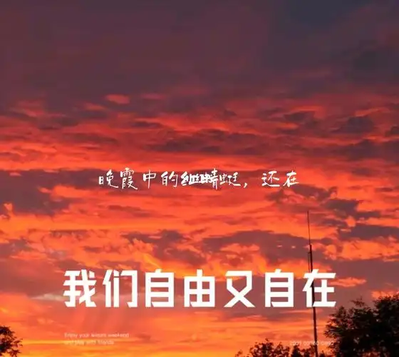 一人一句晚霞的文案