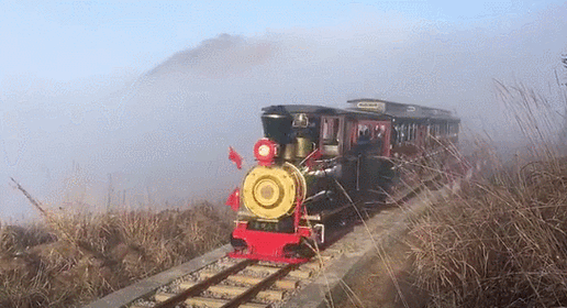 从春天万紫千红到冬日暖阳霜雪,忍不住想要嗨唱一首"野狼disco",以示