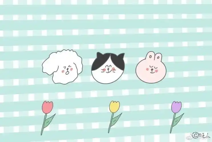 有哪些适合ipad使用的优质主屏幕非锁屏壁纸