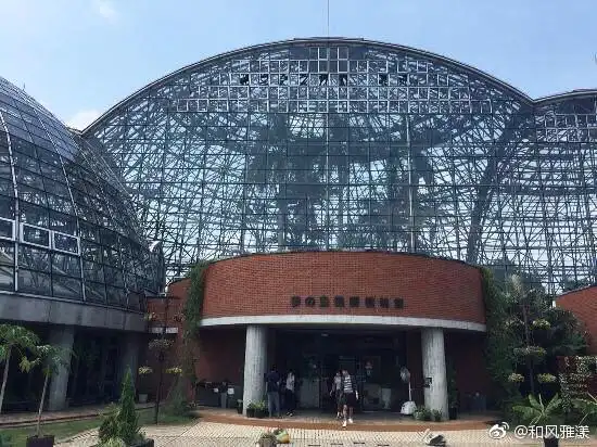 带孩子游东京梦之岛热带植物馆