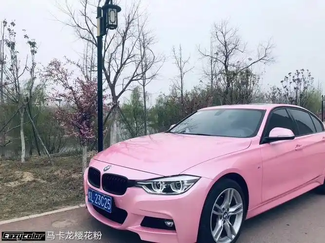 姹紫嫣红总是春,改个颜色去踏青～马卡龙樱花粉真是超搭了,哈哈