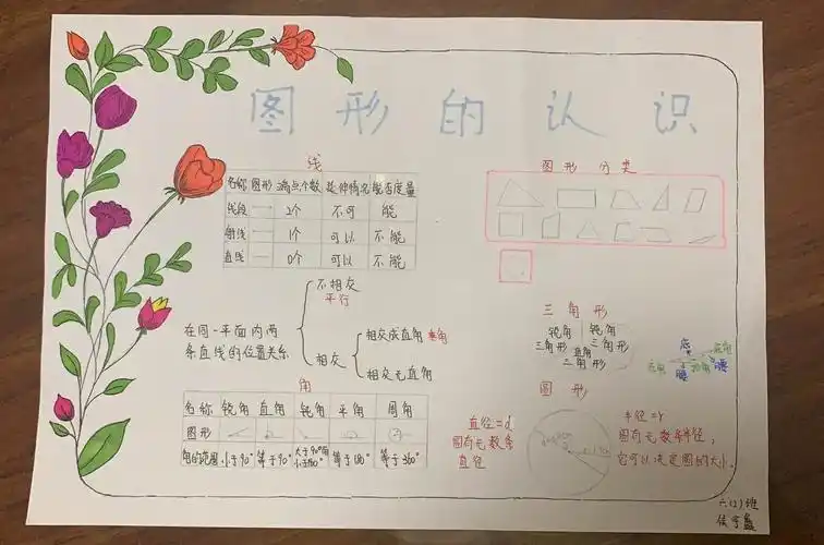 六一,六二班图形与几何总复习优秀小报