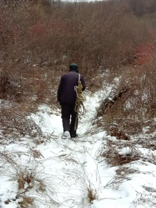 写美篇给了一个耄耋老人如此坚毅,刚强的背影 感谢父亲幸福而乐观的