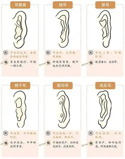 女人面相长痣图解看命运_看面相图解_看五官面相算命图解