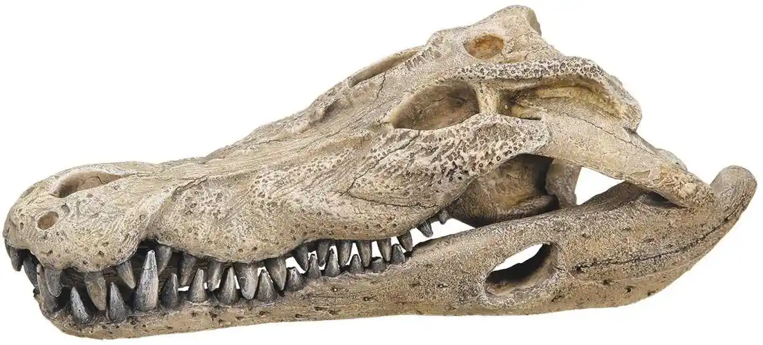 nobby 鳄鱼头骨水族箱饰品26x 14x . 已加入购物车