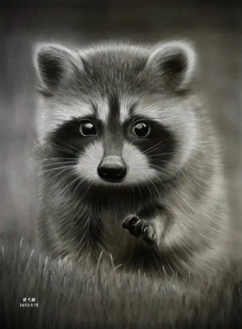 素描动物草地上的小浣熊01附步骤图