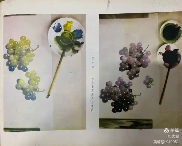 苏葆桢水墨葡萄技法