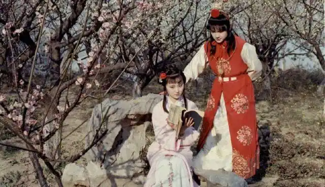 宝玉黛玉共读的是西厢记还是会真记