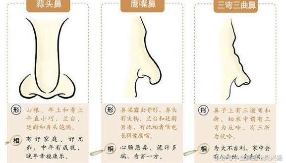 水滴鼻面相命运男