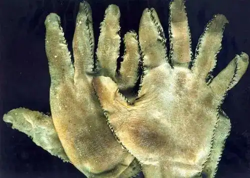 看过牛皮羊皮做的手套,还没看过用人皮做的