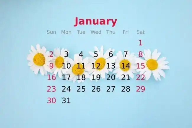 上一篇:雪山极光2021年12月日历桌面壁纸下一篇:2022年全年日历图片