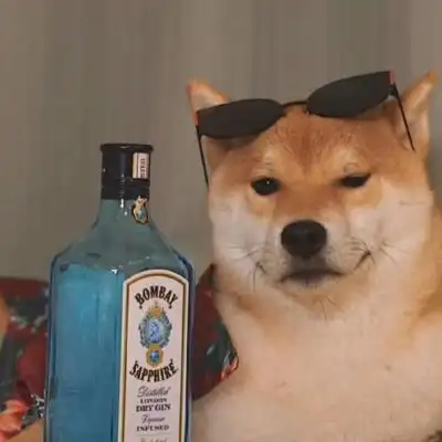 男生头像抱狗狗