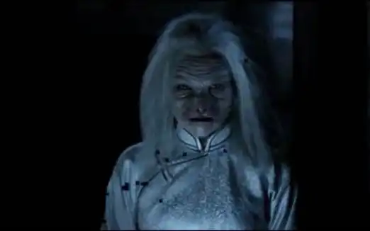 猫脸老太太世界恐怖灵异事件排行榜第四名