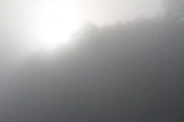 雾,早晨的太阳,面纱,有雾,高清图片-回车素材