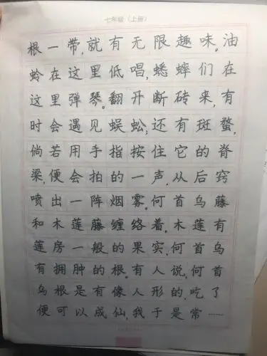 语文作业 语文字帖