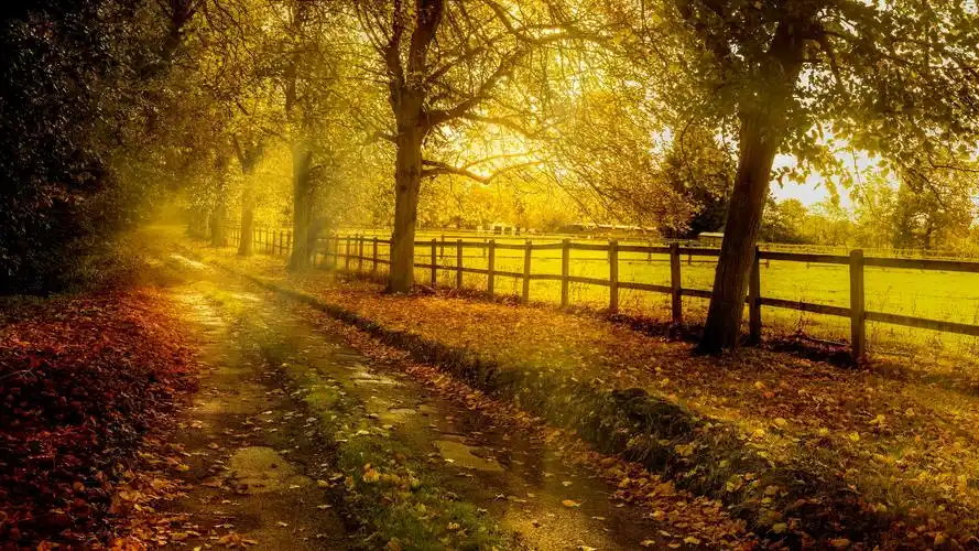 有没有那种暖色系街头风壁纸