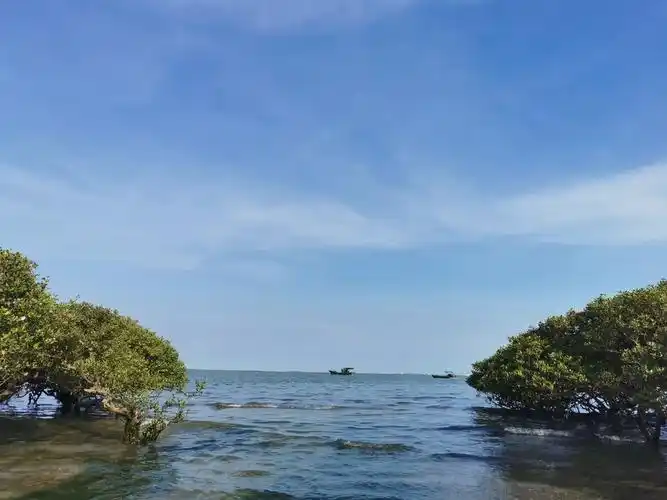 【携程攻略】湛江特呈岛适合商务旅行旅游吗,特呈岛商务旅行景点推荐