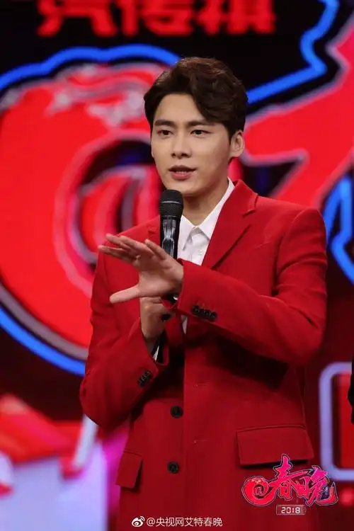 2018李易峰2018央视狗年春晚播出_图片_视频集锦-爱豆app