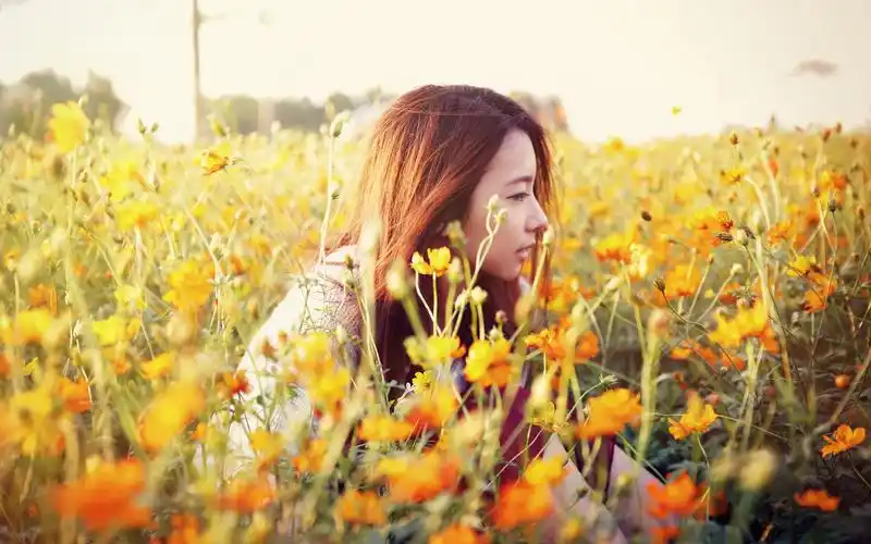 花丛中的女孩高清电脑桌面壁纸_美女壁纸_壁纸下载_美桌网