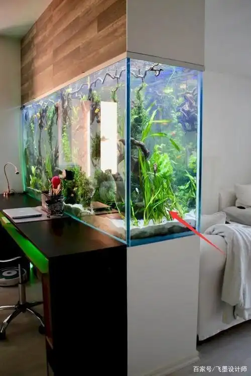 与其花个几百上千做背景墙,不如一半做鱼缸,一半做收纳柜,实用