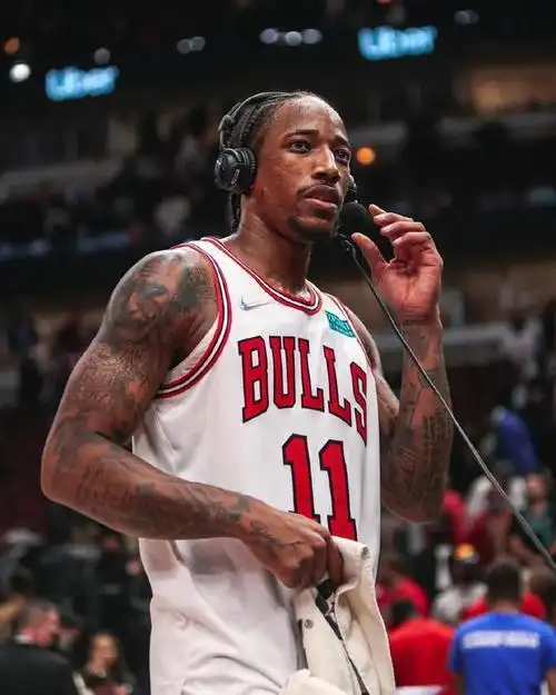 古典风骨德罗赞