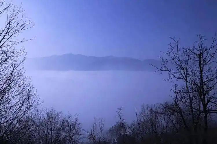 印象卢氏卢氏县摄影家协会摄友作品展示第四十六期