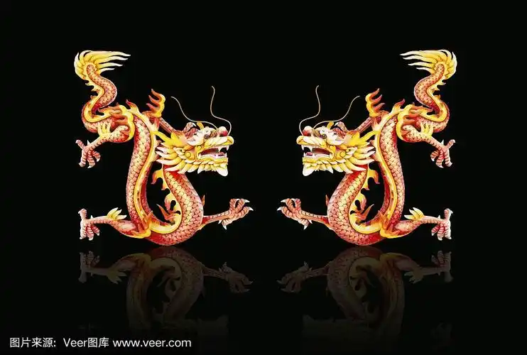 亚洲,红色,龙,一对,黑色背景