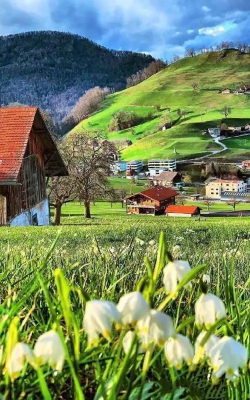 精选瑞士田园风光手机壁纸_风景_手机壁纸下载_美桌网