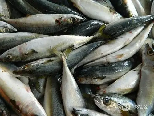 2元一斤,10元5斤油桐鱼